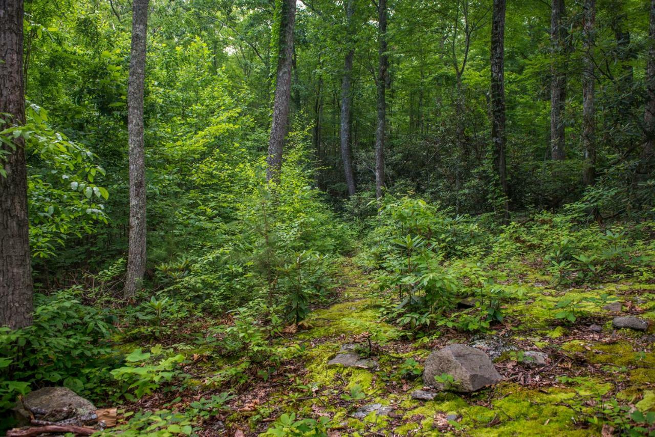 Вилла Chief Big Log Hatchertown Экстерьер фото